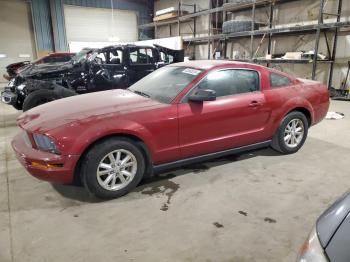  Salvage Ford Mustang