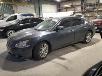  Salvage Nissan Maxima