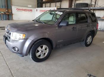  Salvage Ford Escape