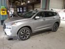 Hyundai SANTA FE Calligraphy Image 1