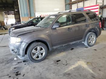  Salvage Ford Escape