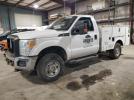 Ford F-250 Super Duty Image 1