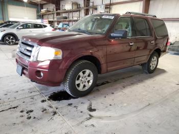  Salvage Ford Expedition