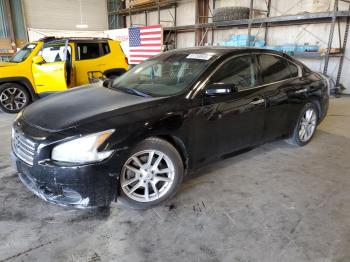  Salvage Nissan Maxima