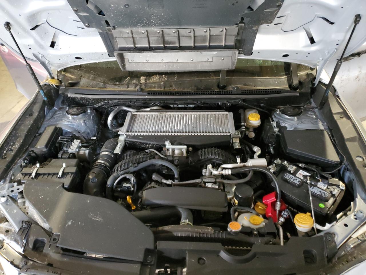 Subaru WRX Premium Image 11