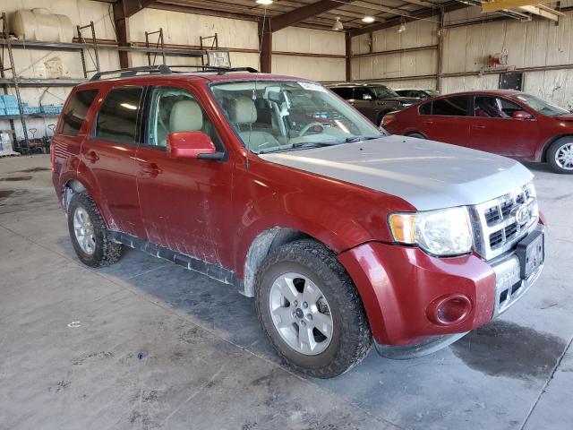 Ford Escape Limited Image 4