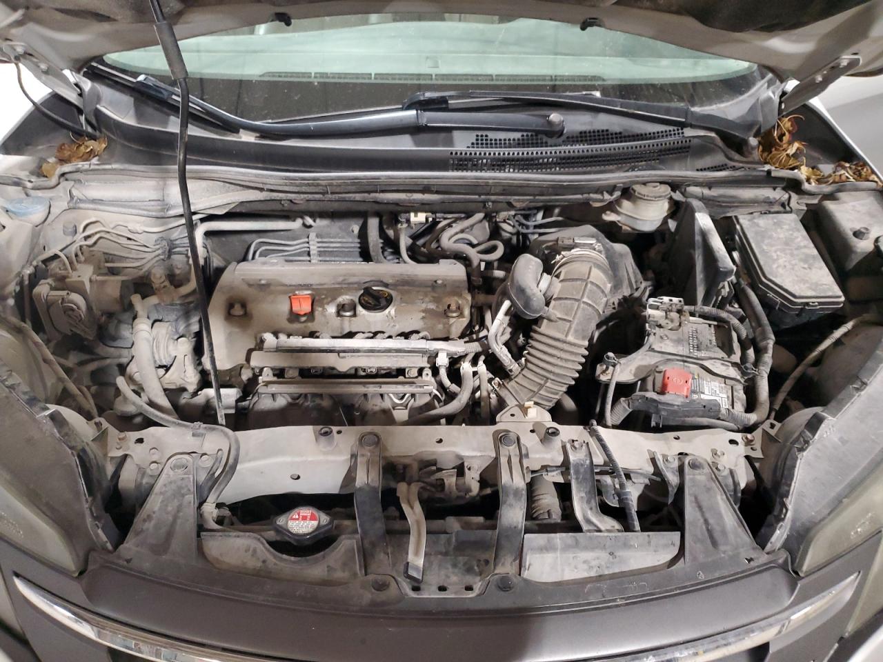 Honda Crv Lx Image 2