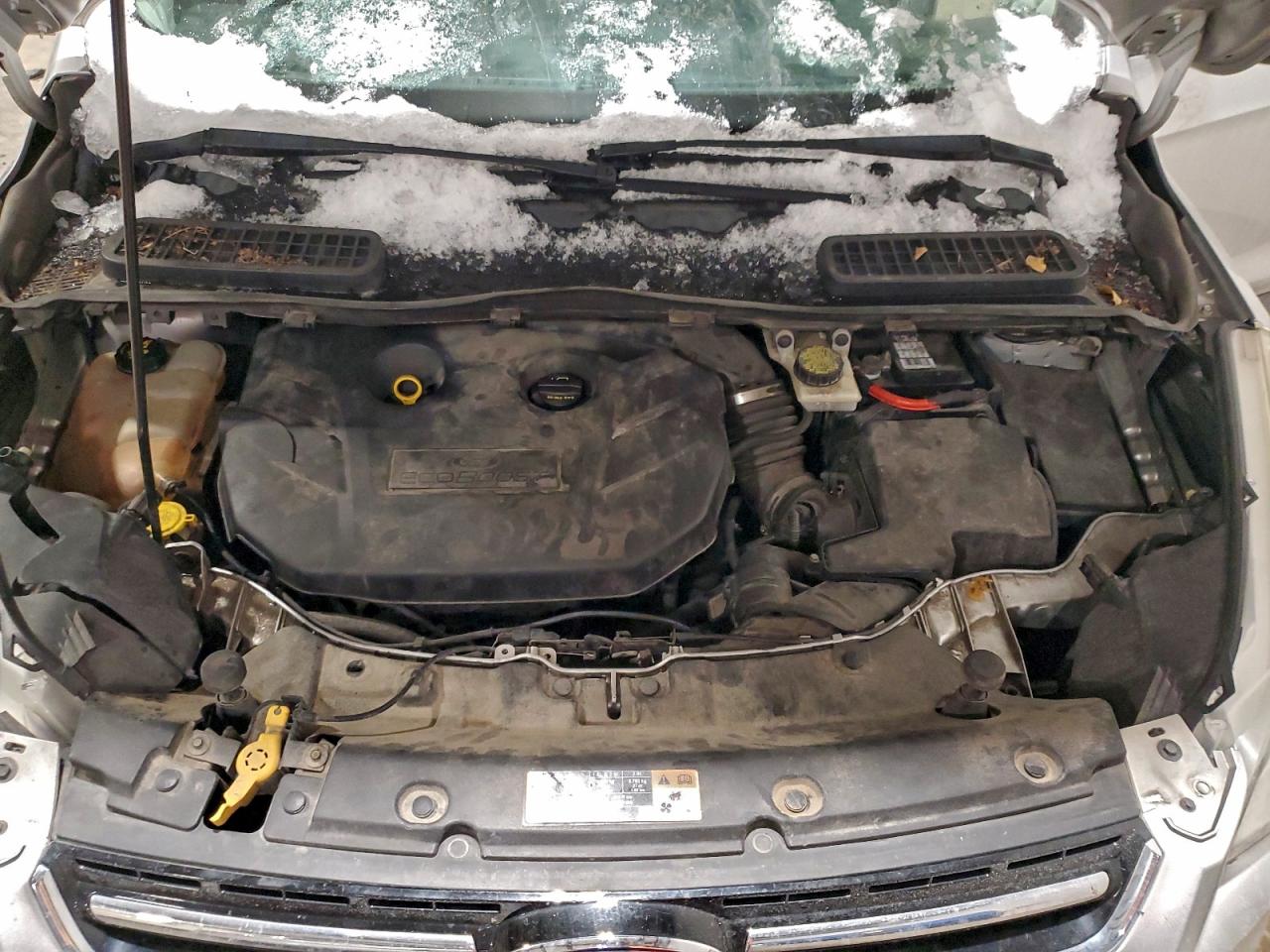 Ford Escape Titanium Image 10