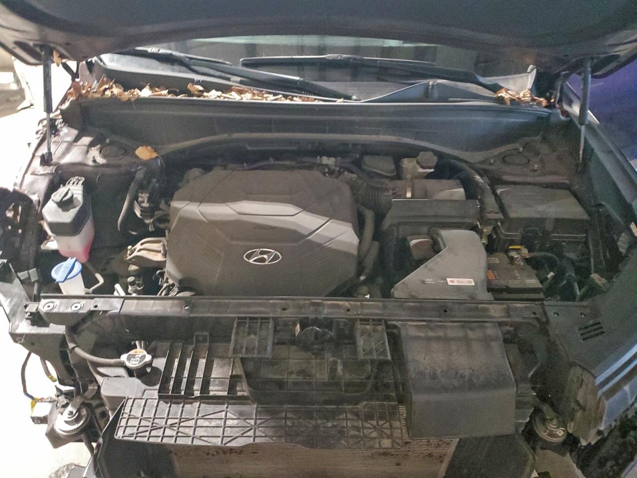 Hyundai PALISADE Limited Image 14