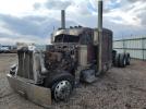 Peterbilt Tractor 379 Image 3