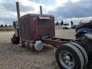 Peterbilt Tractor 379 Image 9