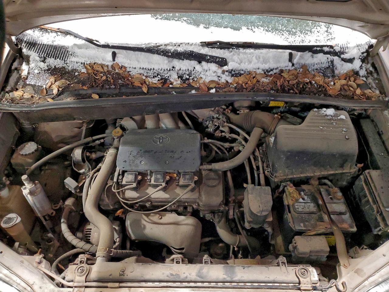 Toyota Sienna Le Image 11