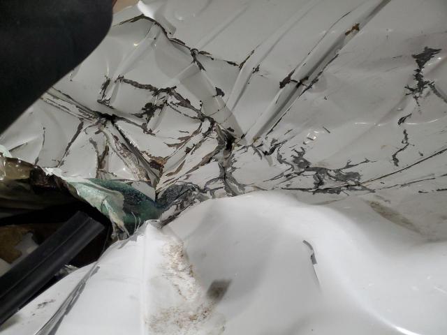 Mercedes-Benz Sprinter 2500 Image 2