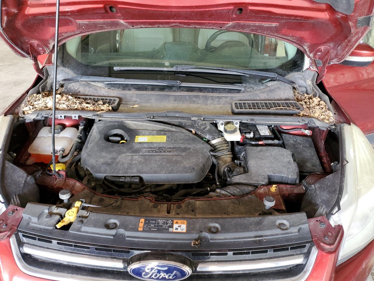 Ford Escape Titanium Image 7