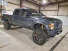 Ford F-250 Super Duty Image 2