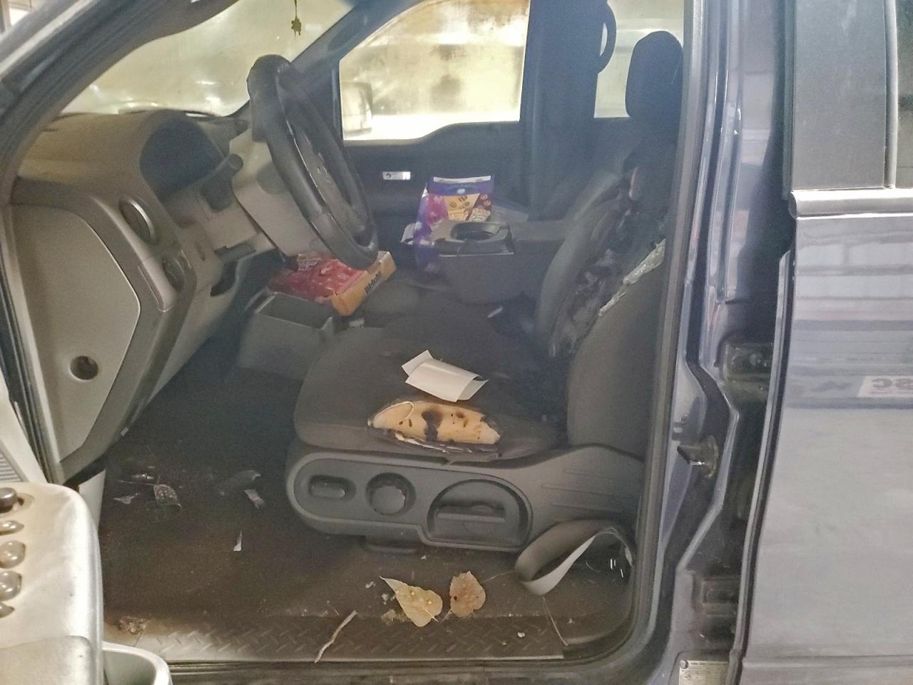 Ford F-150 Supercrew Image 10